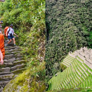 Top Inca Trail Tour Operator
