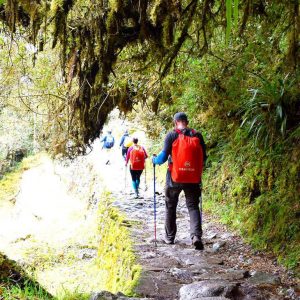 tour guide tip peru