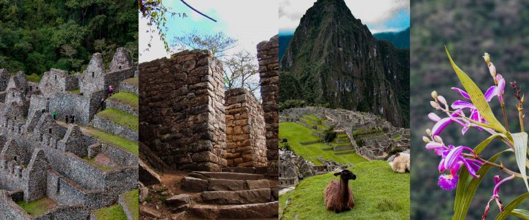 The 1 Day Inca Trail to Machu Picchu with Circuit #2 or #3