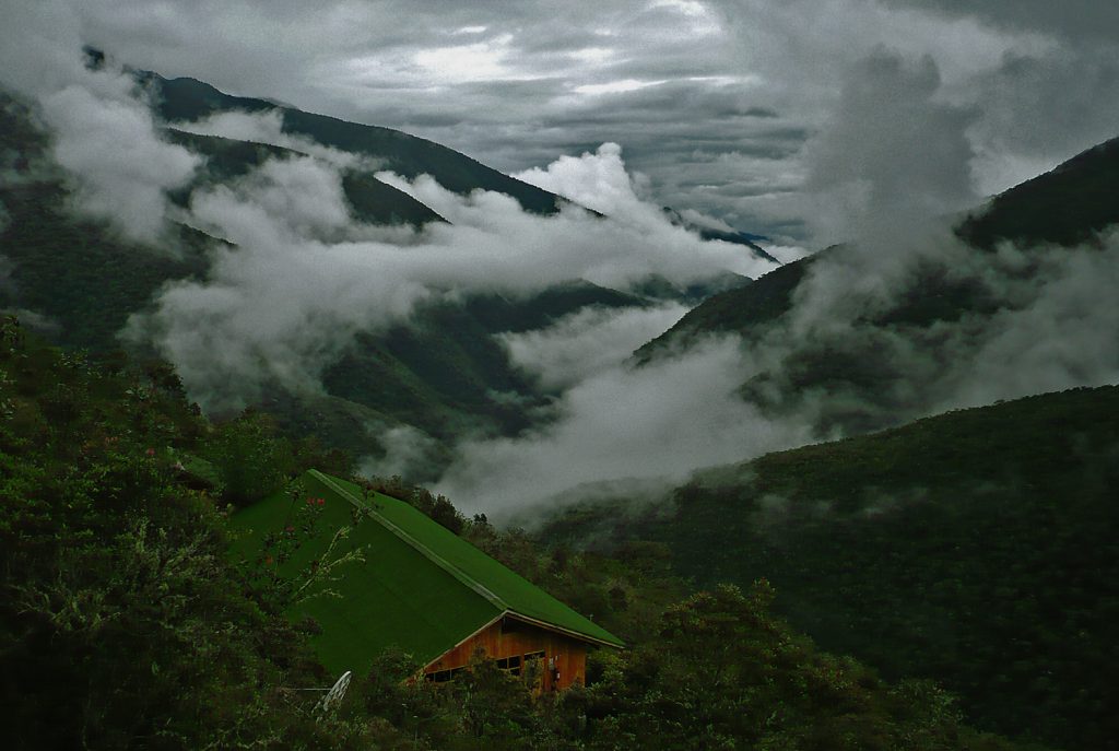 Bosque nublado, Manu Peru