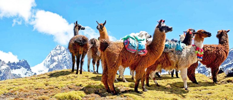 lares trek