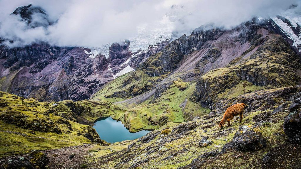 Lares Trek with sam travel