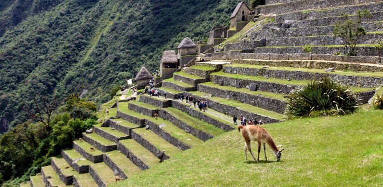 short inca trail to machu picchu