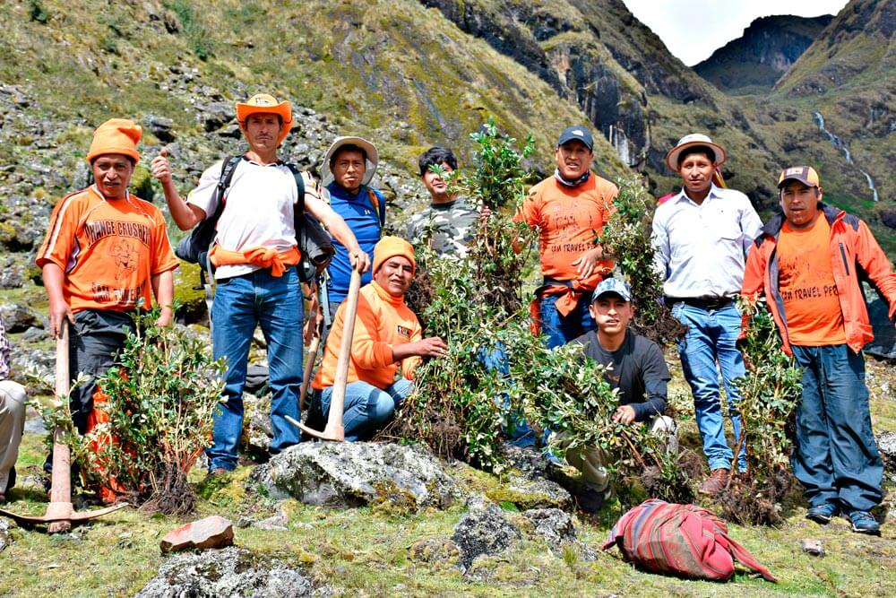 Support the Landscape in Lares
