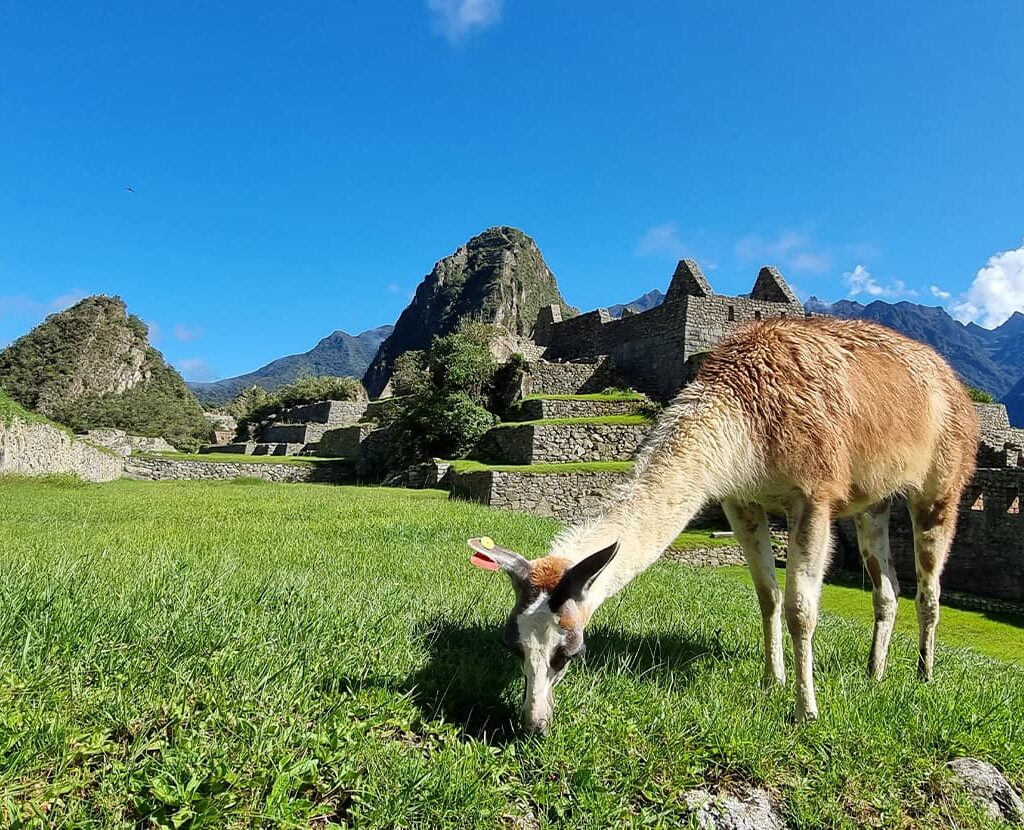 Sacred valley tours to machu Picchu