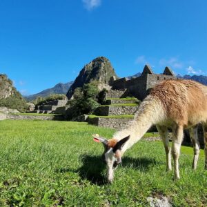 Sacred valley tours to machu Picchu