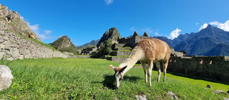 SACRED VALLEY TO MACHU PICCHU 2 DAYS – 1 NIGHT